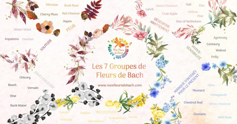 IMAGE FLEURS DE BACH 2